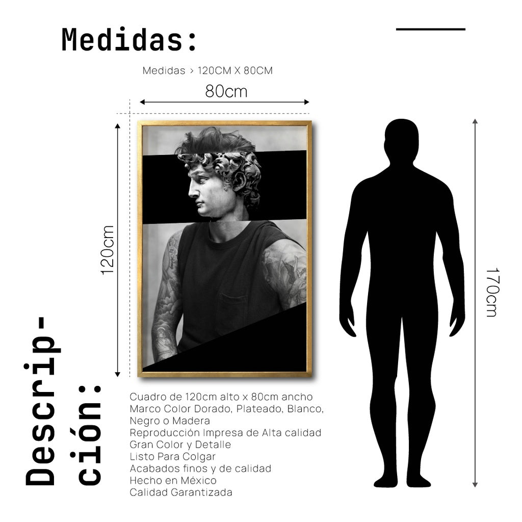 El david cuadro decorativo codigo 010-GD